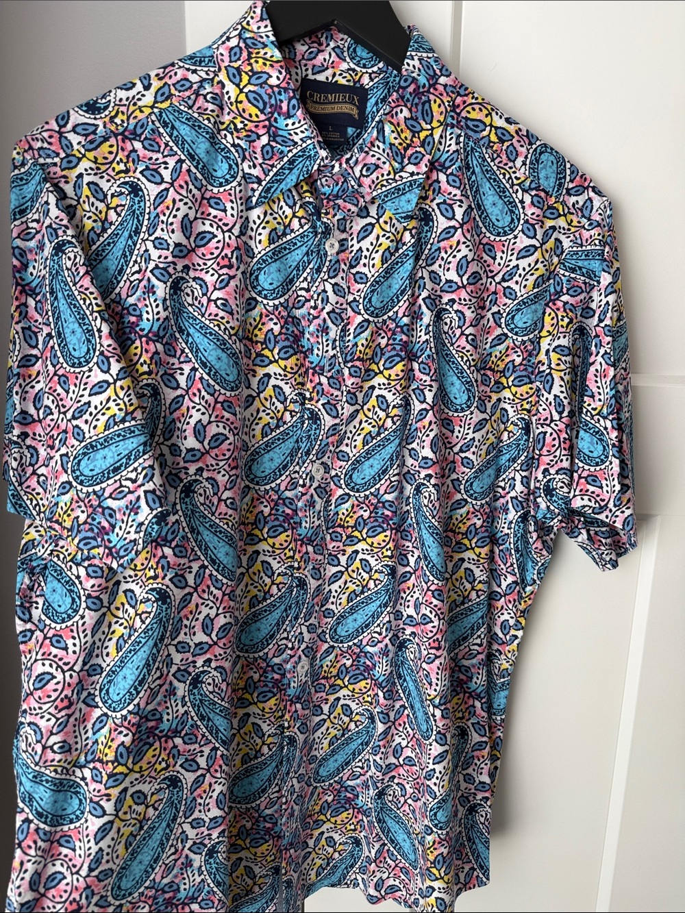 Daniel Cremieux Short-Sleeve Paisley Shirt in Blue, Pink & Yellow